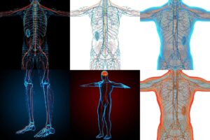 5 False Peripheral Neuropathy Facts Your Doctor Mistakenly Promotes